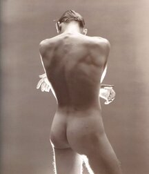Sexy Twink Ass Gay Porn 6136fb7f6d543.jpg