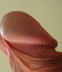 Twink Boners Boys Tube Porn 614129f7a8fc0.jpg