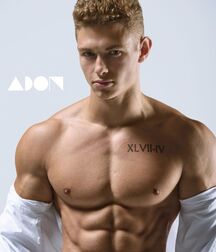 Handsome Muscular Colton Gay Porn 6149e4e0d3d61.jpg