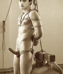Gay Porn Twink Boners 614a109e73903.jpg