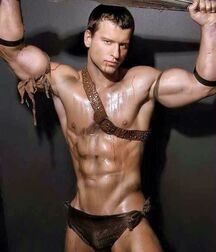 Gay Porn Amazing Abs Guys 615ca57a4904a.jpg