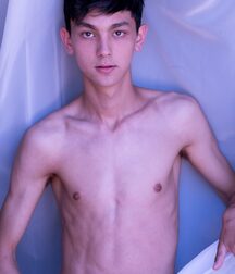 Gay Porn Twink Pornstar Adam Veller 6179864da2bb4.jpg