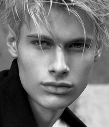 Handsome Faces portrait twink tube art 61f41e2d4040e.png