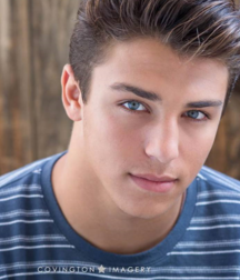 Handsome Faces portrait twink tube art 61f41e6e521be.png