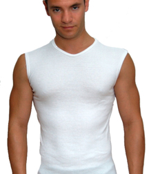 Muscle Shirt Twinks Hunks Tube Look Good In Them 62143023bd900.jpg