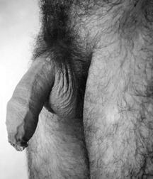 Hairy Bush Guys Boys Porn 62143e017bd3d.jpg