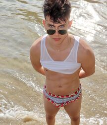 Beach Twinks Hunks Twink Tube athlete shirtless beach 622309414800a.jpg