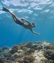 Sexy Athletes Guys Gay Porn 624a601411582.jpg