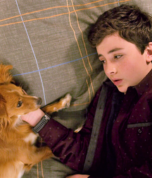 Guys With Pets Twink Tube animals cute 625236ce2cc54.png
