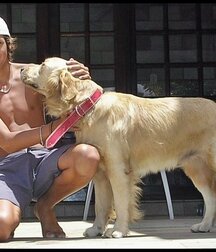 Guys With Pets Twink Tube animals cute 62523703cf6f3.jpg