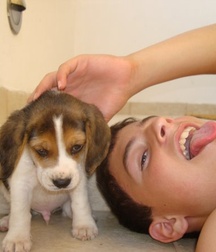 Guys With Pets Twink Tube animals cute 6252370d78ca7.jpg