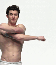 Handsome Singer Shawn Mendes Twink Tube 626cbb9941803.gif