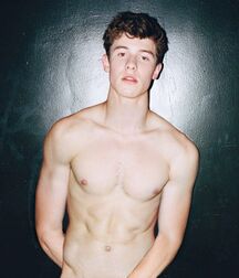 Handsome Singer Shawn Mendes Twink Tube 626cbba939d0f.jpg