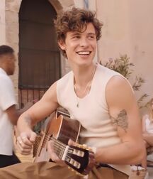 Handsome Singer Shawn Mendes Twink Tube 626cbbaed96e2.jpg