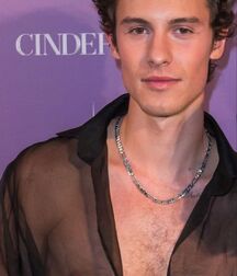 Handsome Singer Shawn Mendes Twink Tube 626cbbc6438c5.jpg