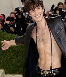 Handsome Singer Shawn Mendes Twink Tube 626cbbcb1aefa.jpg