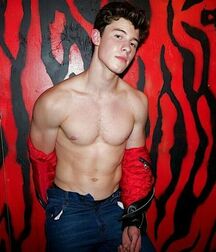 Handsome Singer Shawn Mendes Twink Tube 626cbbdb6017a.jpg