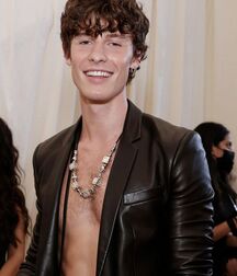 Handsome Singer Shawn Mendes Twink Tube 626cbbdd8ace8.jpg