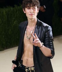 Handsome Singer Shawn Mendes Twink Tube 626cbbdf9f555.jpg