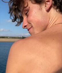 Handsome Singer Shawn Mendes Twink Tube 626cbbe1aeea8.jpg