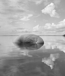 Photos B&W Classic photography nude sexual porn 62d2cc5d32b8d.jpg