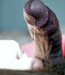 Precum 5ce5a7e9b1799.jpg