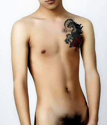 twink 5 5cef8217b3e69.jpg