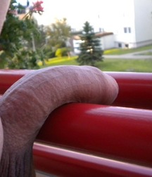 huge cock 2 5cfbceb7924c9.jpg
