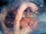 Erotica 07 3.jpg