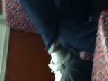 Shoes and Socks and Legs 2 :) 11.jpg