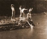 Collection 5 4.jpg