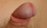 More Dicks 2 20.jpg