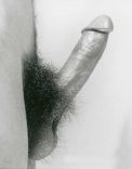 Cut Hard Hot