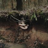 Art in nature