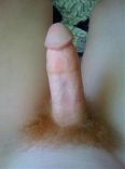 Gingers 8.jpg