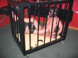 slave boys 2.jpg
