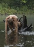 Nature 6.jpg