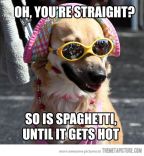 Funny 9.jpg