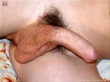 willi´s mix 4 4.jpg