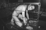 bdsm.3 20.jpg