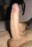 Hotties  4.jpg