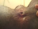 cock and ass 9.jpg