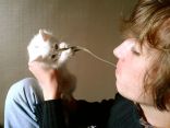 Purrrrfect 14.jpg