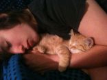 Purrrrfect 8.jpg