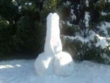 Snow Cocks 10.jpg