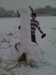 Snow Cocks 11.jpg