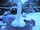 Snow Cocks 13.jpg
