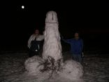 Snow Cocks 14.jpg