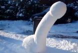 Snow Cocks 15.jpg