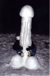 Snow Cocks 17.jpg